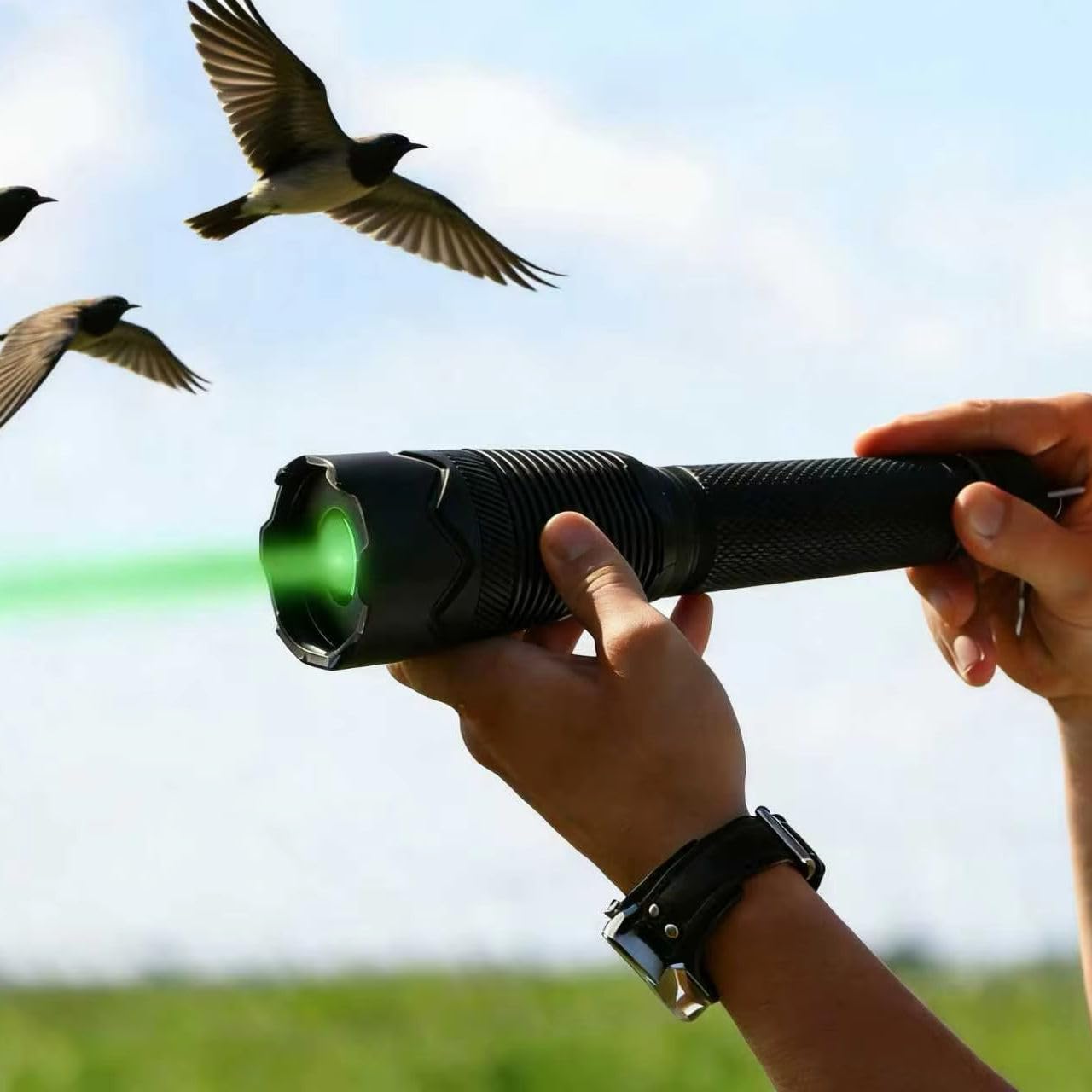 Linterna Portátil con Láser De Luz Verde para Ahuyentar Aves, Repelente De Pájaros Láser De Mano con Función De Linterna, Dispositivo Recargable para Ahuyentar Palomas Y Gorriones