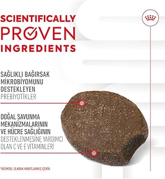Royal Canin Immunity & Digestion Chews Yavru Köpekler İçin Bağışıklık ve Sindirim Sistemini Destekleyen Tamamlayıcı Ödül Maması 100g