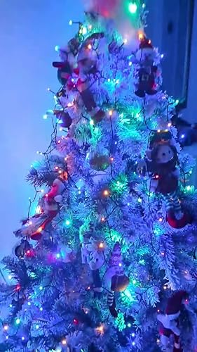 Kerstboompiek kopen? Bekijk ons aanbod | De Boet - Pagina 1