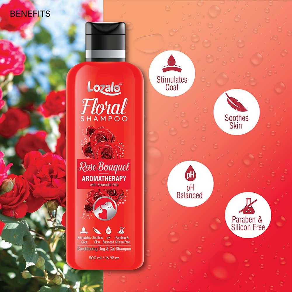 Lozalo Floral Aromatherapy Pet Conditioning Shampoo - 500ml, Rose Fragrance, Coat Cleansing, Odour Control Shampoo for Dogs & Cats, with Aloe Vera Extract and Cinnamon Oil to Promote Healthy Skin 2