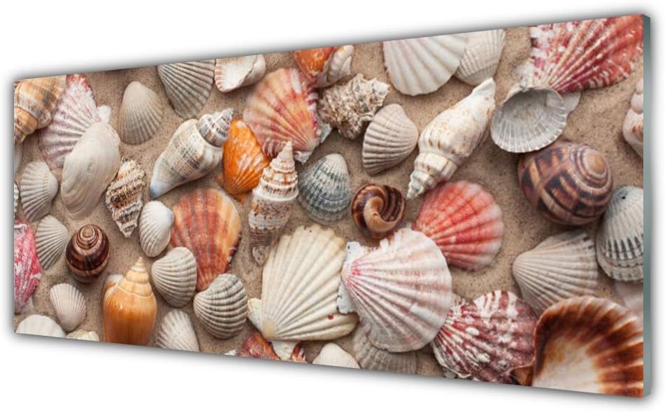 Tulup Glass Splashback for Kitchen - 49.2 in x 19.7 in / 125x50 cm - Cooker Wall Protection Tempered Glass - Shellfish Art