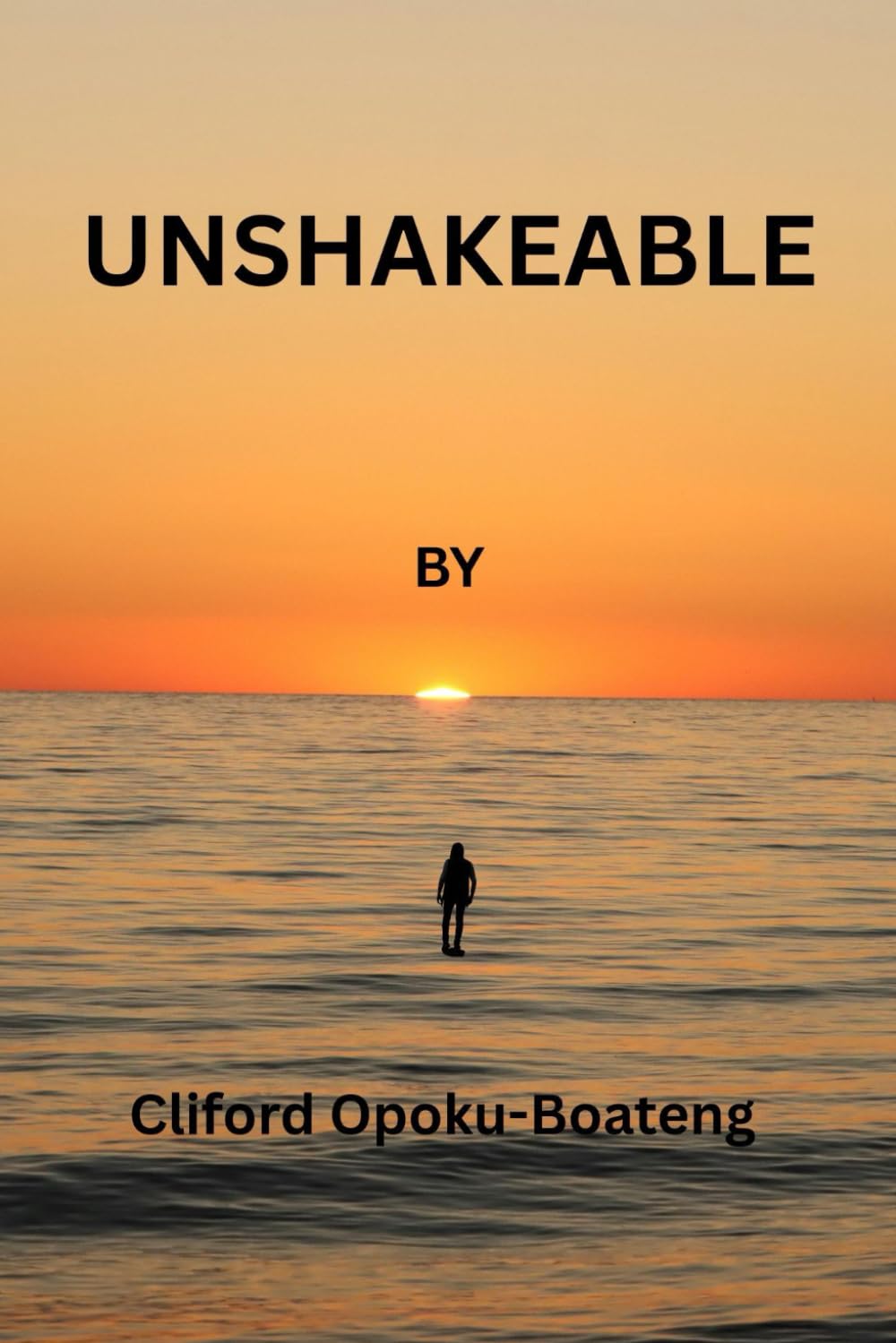 UNSHAKEABLE: Lessons in Courageous Leadership and the Strength of the Human Spirit
