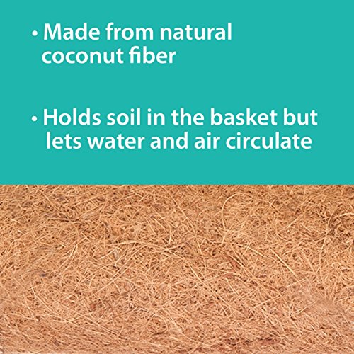 Panacea Products Cameo Series 14-Inch Hanging Basket, Cameo Brown #TOP2