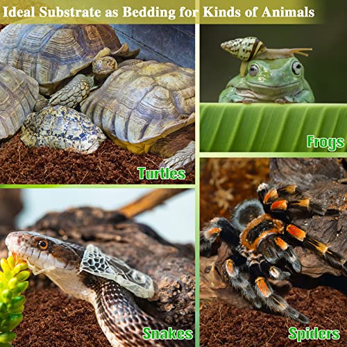 Image of ZeeDix 2 Pack Coconut Fiber Substrate, Premium Coco Coir Reptile Substrate | 100% Coconut Husk Terrarium Bedding for Reptiles, Tortoise, Bearded Dragon, Gecko, Snake, Hermit Crabs, Frogs, Tarantula