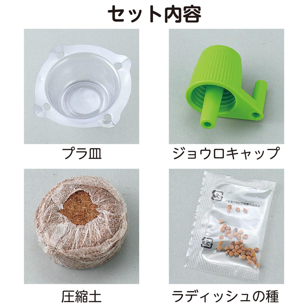 Amazon.co.jp: はじめての家庭菜園に ラディッシュ 栽培キット 春に