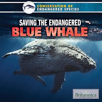 Library Binding Saving the Endangered Blue Whale Book