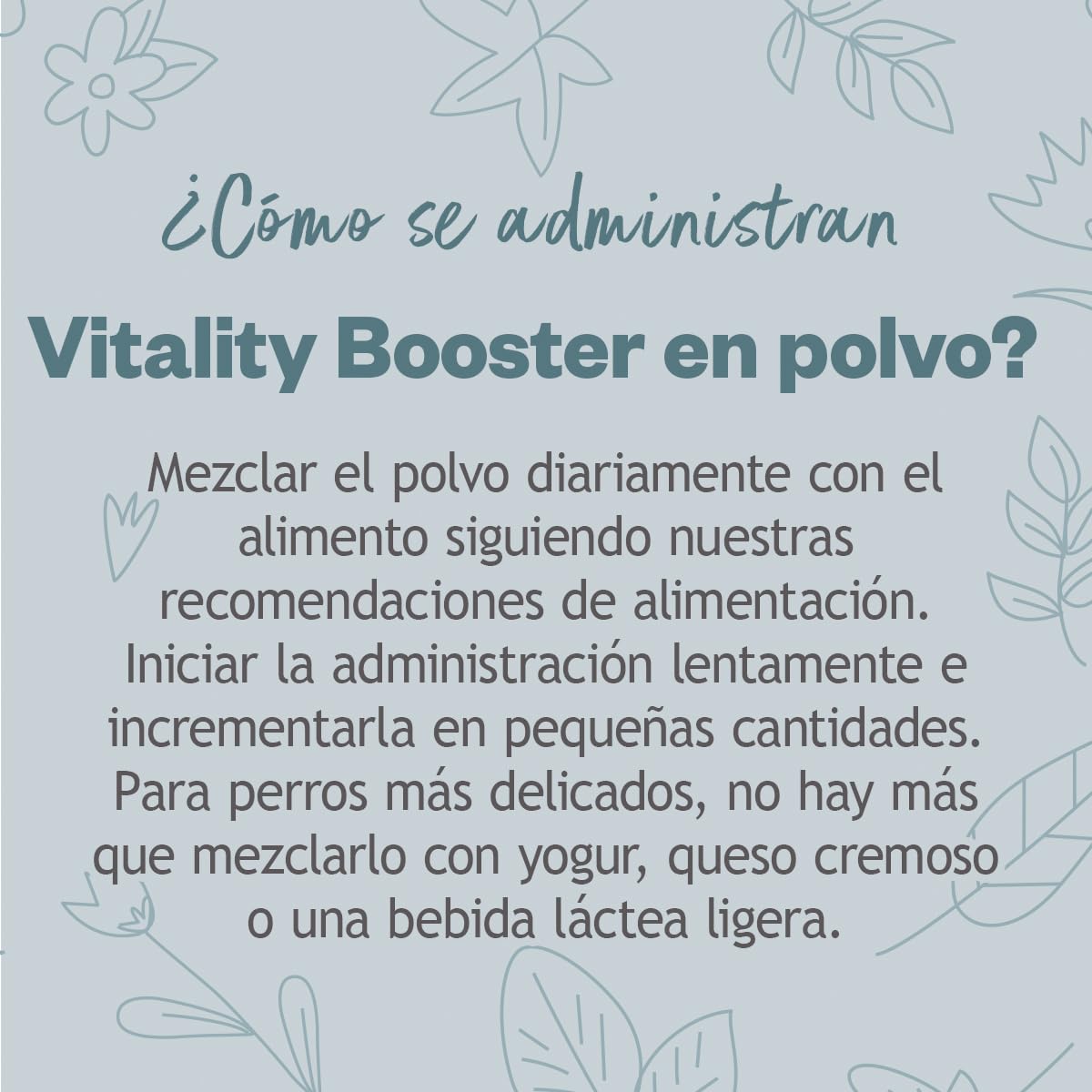 GRAU - El Original - Hokamix Vitality Booster, Pack Individual (1 x 800 g)