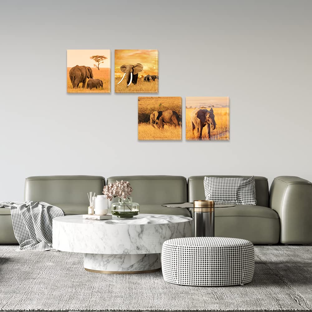 Estandarte De Safari Con Zorro Elefante León Zorro Y Marco De Hojas, image size:1001x1001