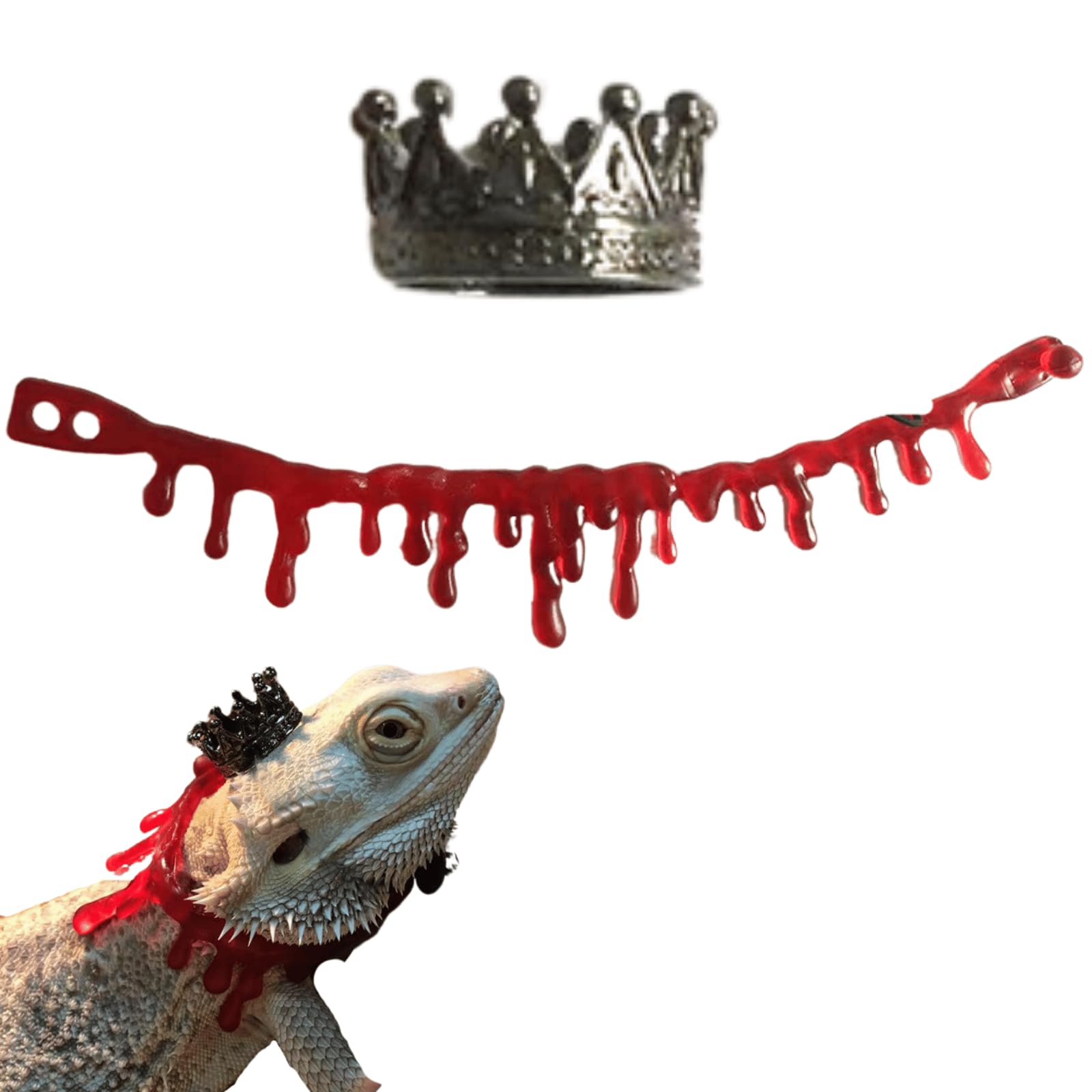 Lizard Halloween Costume Set Crown and Vampire ...