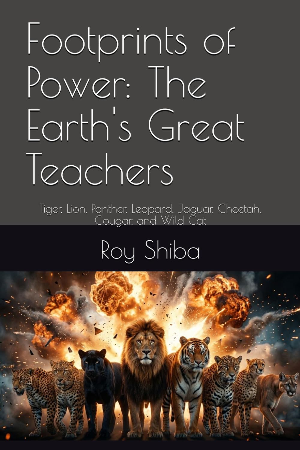 Footprints of Power: The Earth's Great Teachers: Tiger, Lion, Panther, Leopard, Jaguar, Cheetah, Cougar, and Wild Cat (The World Wisdom Archive)