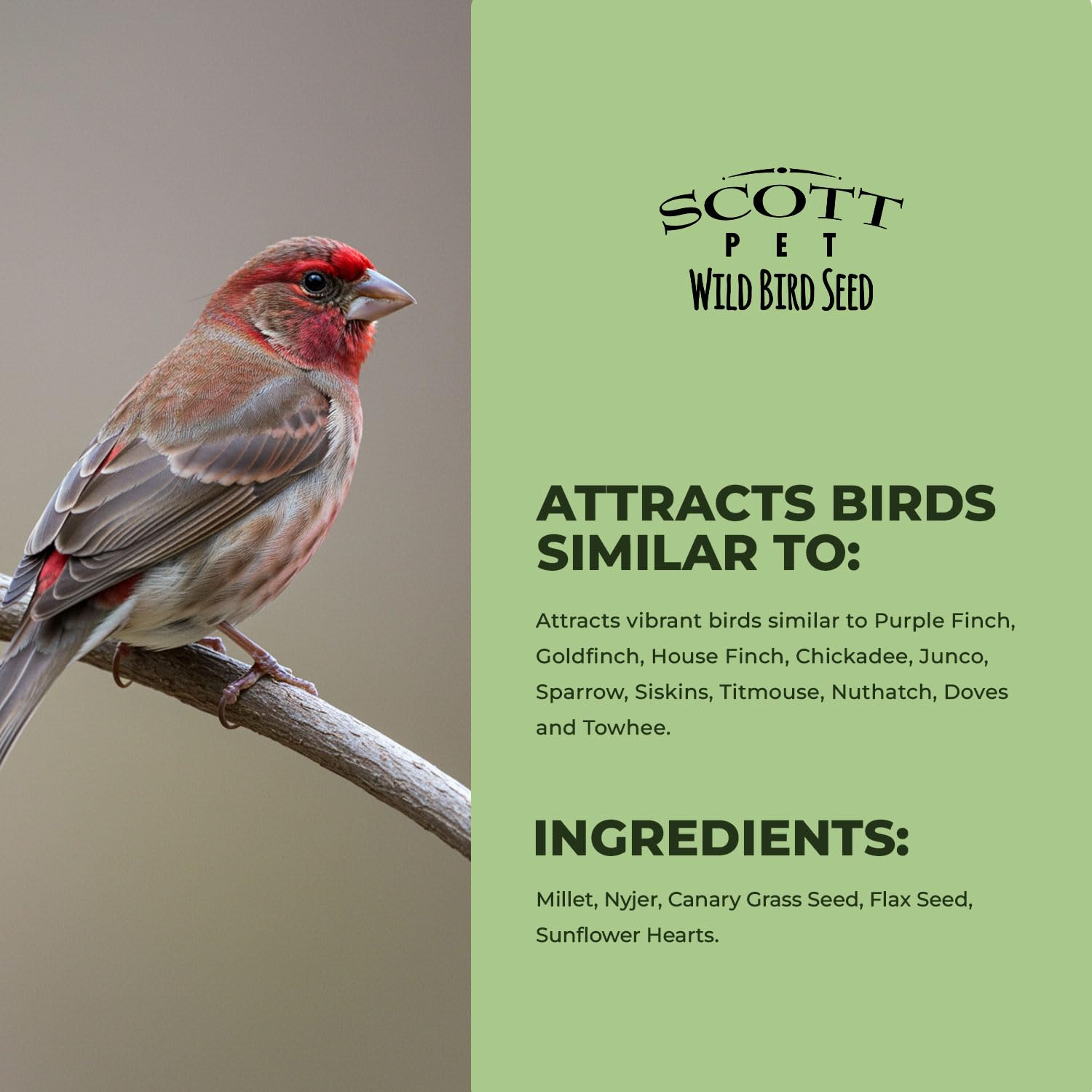 Scott Pet - Semillas para pájaros silvestres, mezcla de pinzón salvaje, 10 libras
