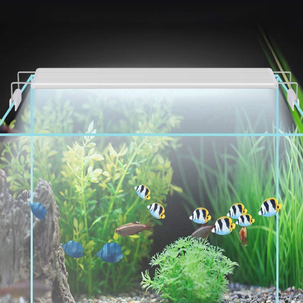 KIMISS Luz Led De 50 Cm Para Acuario Plástico L谩Mpara Para Pecera De 50 Cm Enchufe De La UE 200 240V 13W Lámpara De Luz Led De Alto Brillo Con Soporte Forrium Iluminación De Peces Luz