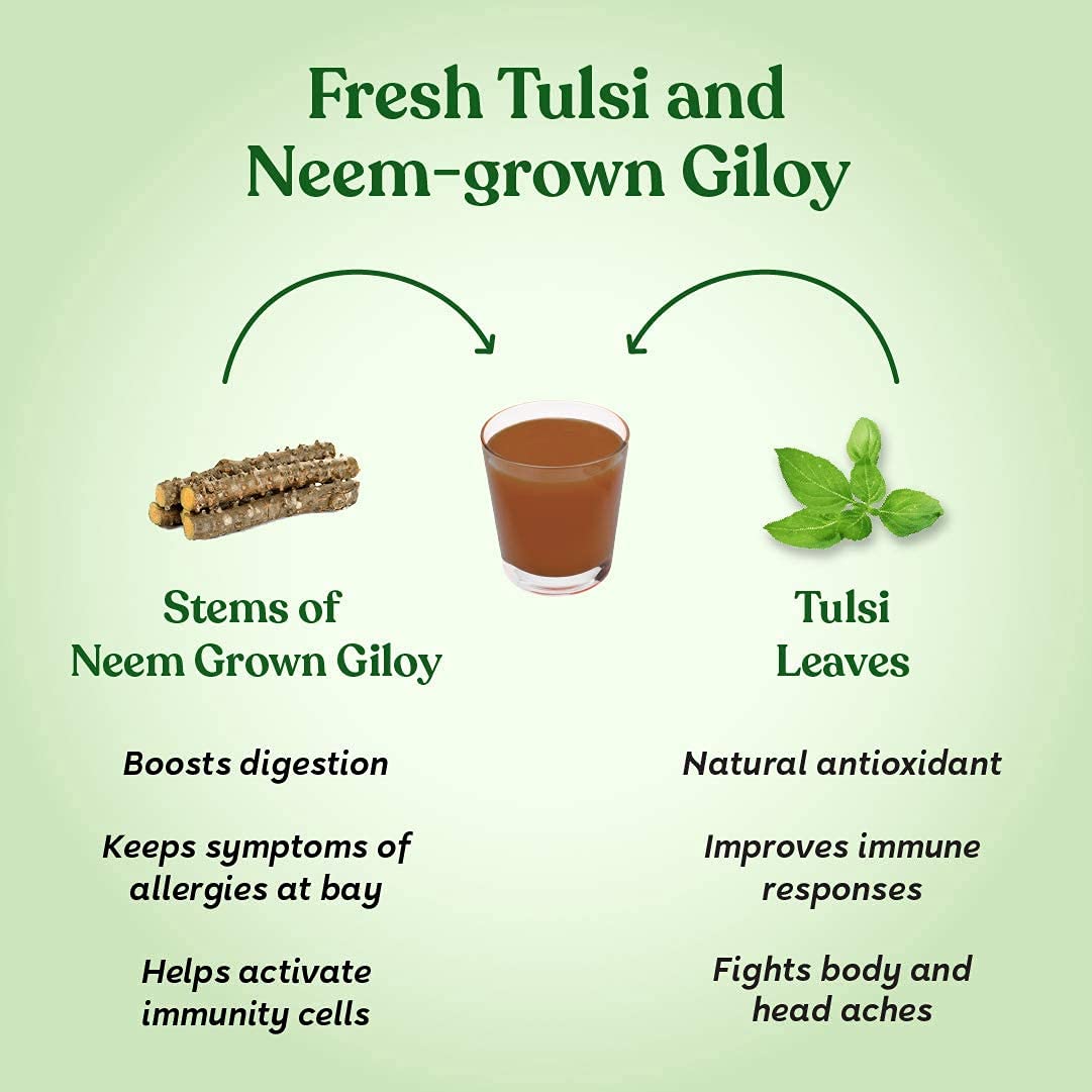 Buy Now Kapiva Wild Tulsi Giloy Juice | Fresh Tulsi And Neem-Grown G... 4 Buy Now Kapiva Wild Tulsi Giloy Juice | Fresh Tulsi And Neem-Grown G...