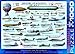 EuroGraphics History of Aviation Puzzle (1000-Piece)