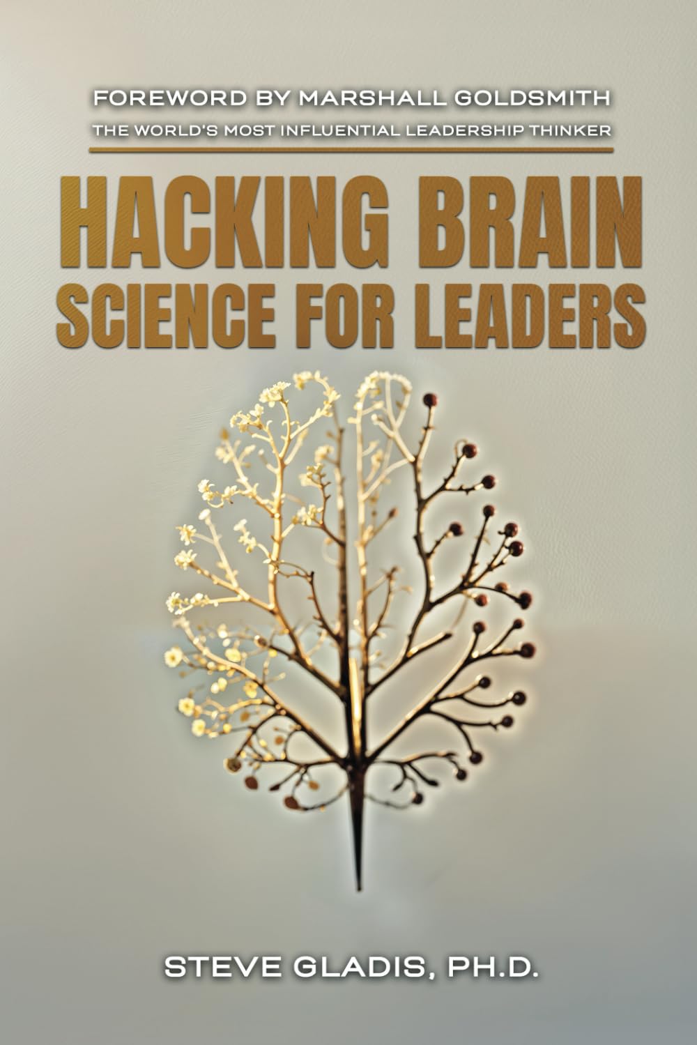 Hacking Brain Science for Leaders: The Neuroscience of Leadership