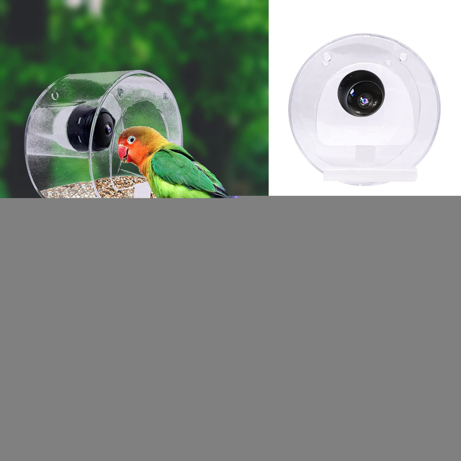 Mangiatoia per Uccelli con Fotocamera, Mangiatoia per Uccelli da Finestra con Forti Ventose, Mangiatoia per Uccelli con Telecamera WiFi Wireless 1080p, Videocamere Versione Notturna Cattura Foto di