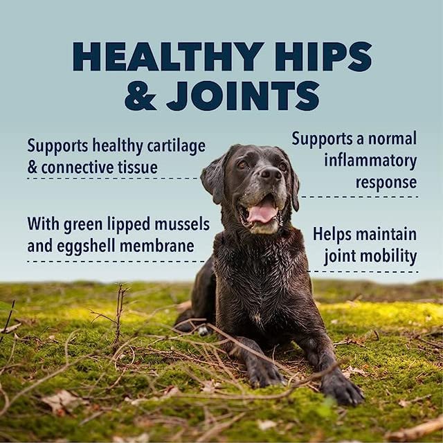 Hip-Joint-Mobility-Joint-Support-with-Glucosamine-and-Chondroitin-for-Dogs-24-oz-22-to-60-Day-Supply-Depending-on-Dogs-Weight-Vet-Formulated-Easy-to-Mix-Delicious