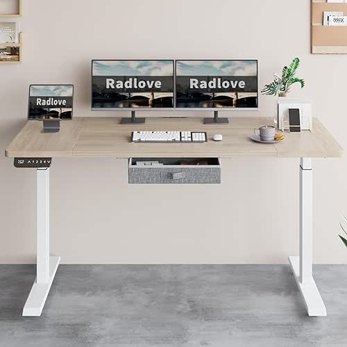 Radlove Dual Motors Height Adjustable 63 x 30'' Electric Standing