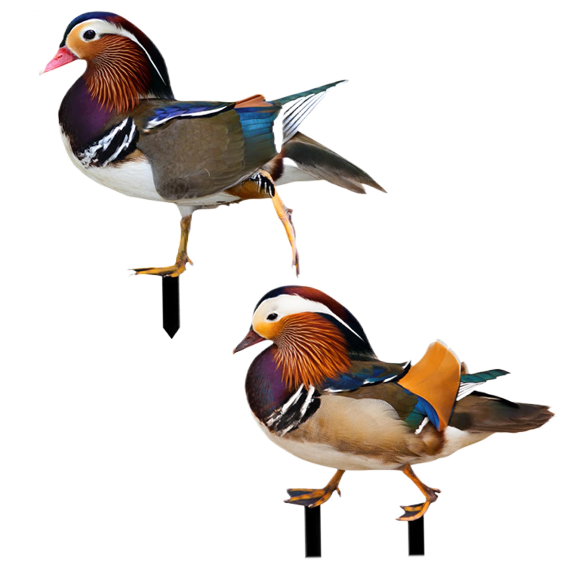 Déco oiseaux d'amour pour extérieur : statues de canards durables contre le gel et la pluie