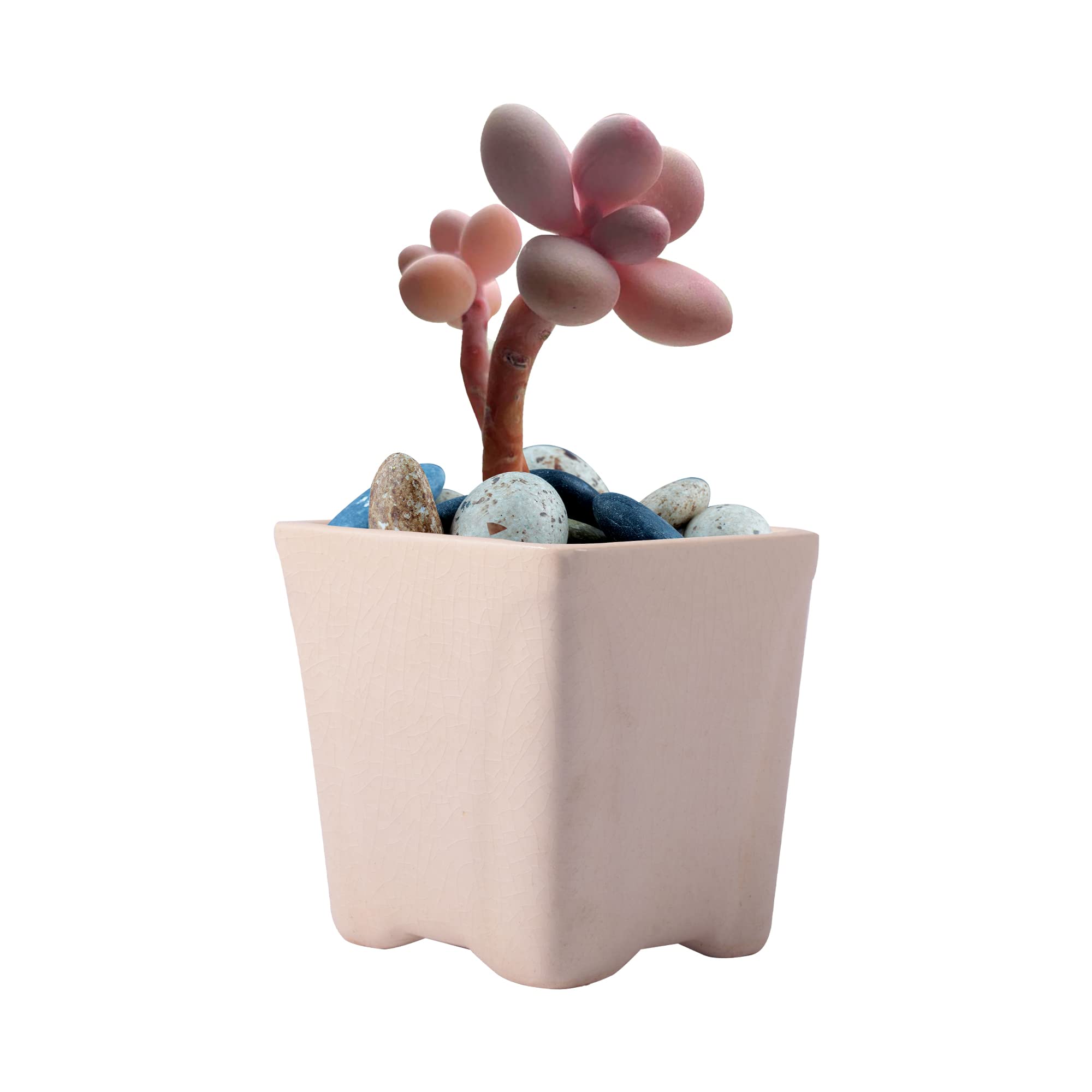 Lasaki Mini Mint Ceramic Pots - Indoor Outdoor Planters -13