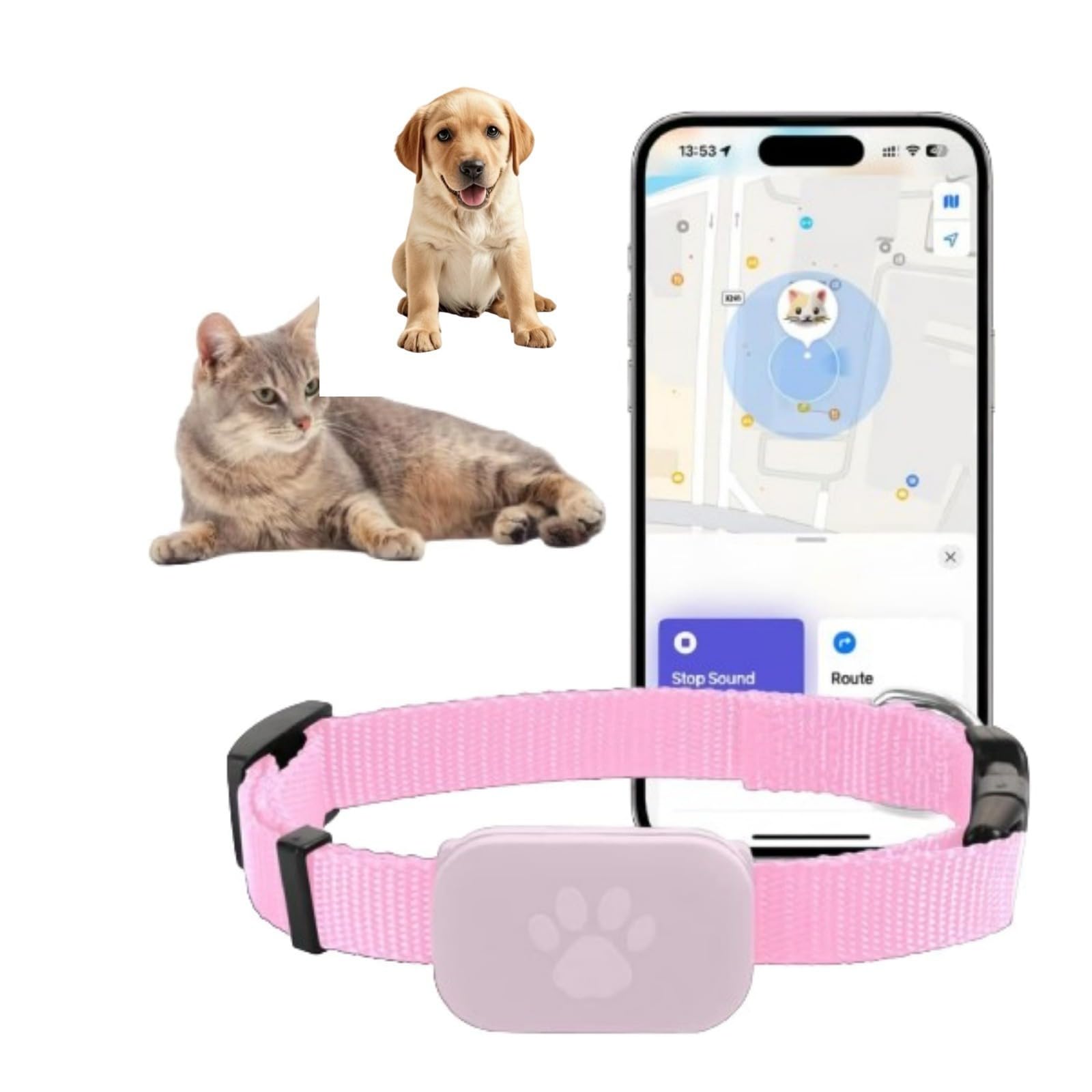 Collar Gato GPS, localizador Gatos, sin cuota mensual, rastreador de Mascotas (Compatible con iOS)