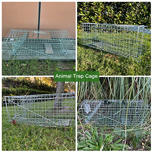 Live Animal Trap For Possum, Groundhog,Gopher,Beaver,Raccoon,Humane Live Animal Cage,Outdoor Small Animal Trap 32 X 12 X 12.5Inch Animal Trap,Foldable,Humane Catch & Release,Easy Installation And Use #TOP6