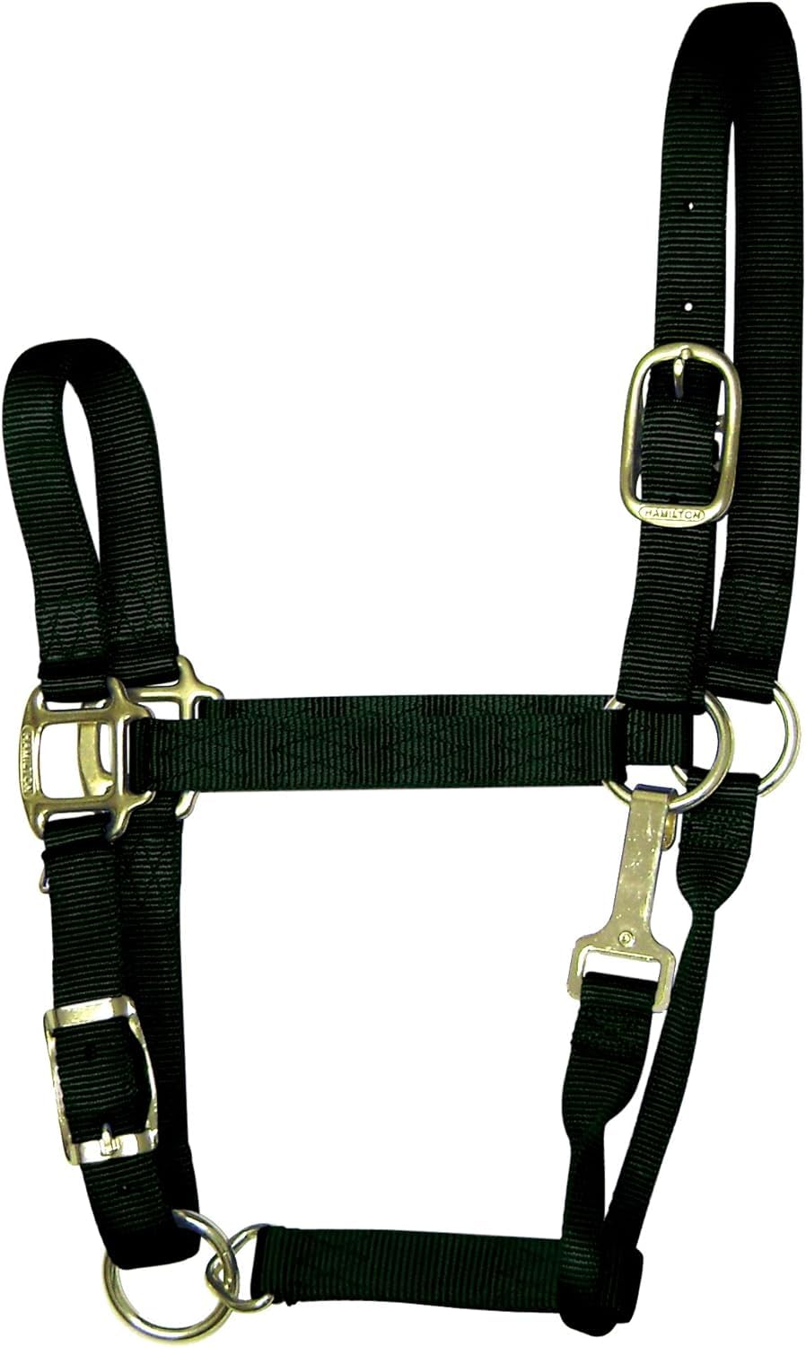 Hamilton - Cavezza Regolabile in Nylon, 2,5 cm