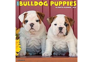 Bulldog Puppies 2025 Wall Calendar: Stay Pawsitively Organized Throughout the Year!
