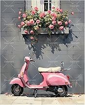 Vintage Scooter Paint by Numbers Kit for Adults