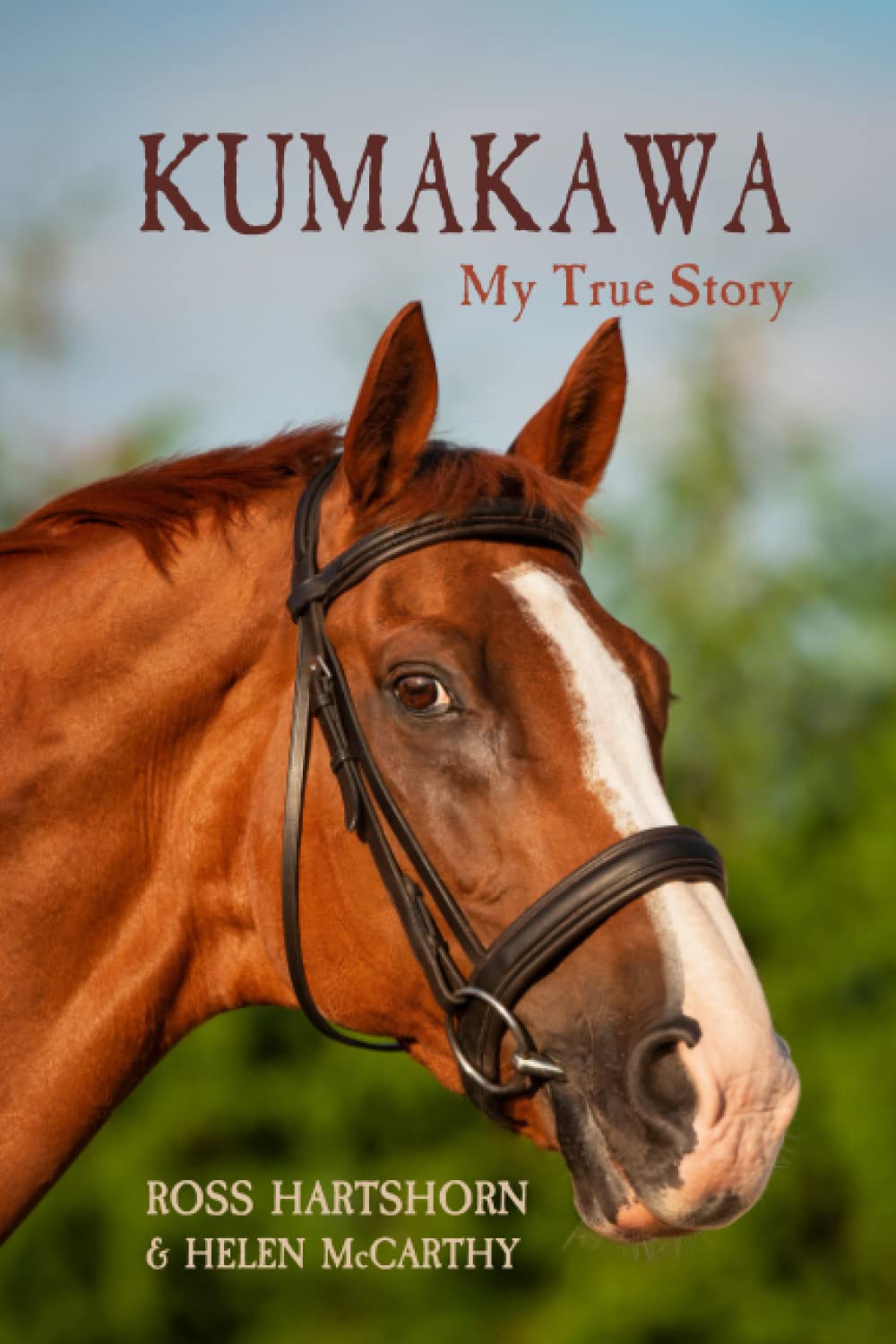 Kumakawa: My True Story (The Adventures of Kumakawa: The Horse That Will Try Anything)