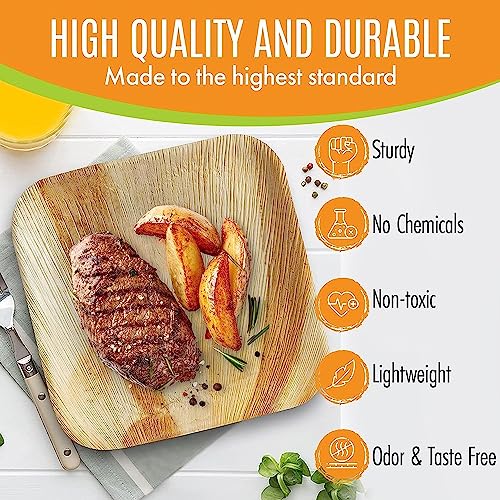 Raj Palm Leaf Plates [50-Pack] 7" Square Plates Like Bamboo Plates Disposable, Strong, Decorative Compostable Tableware For Wedding, Lunch, Dinner, Birthday, Camping, Outdoor Bbq, Picnic #TOP3
