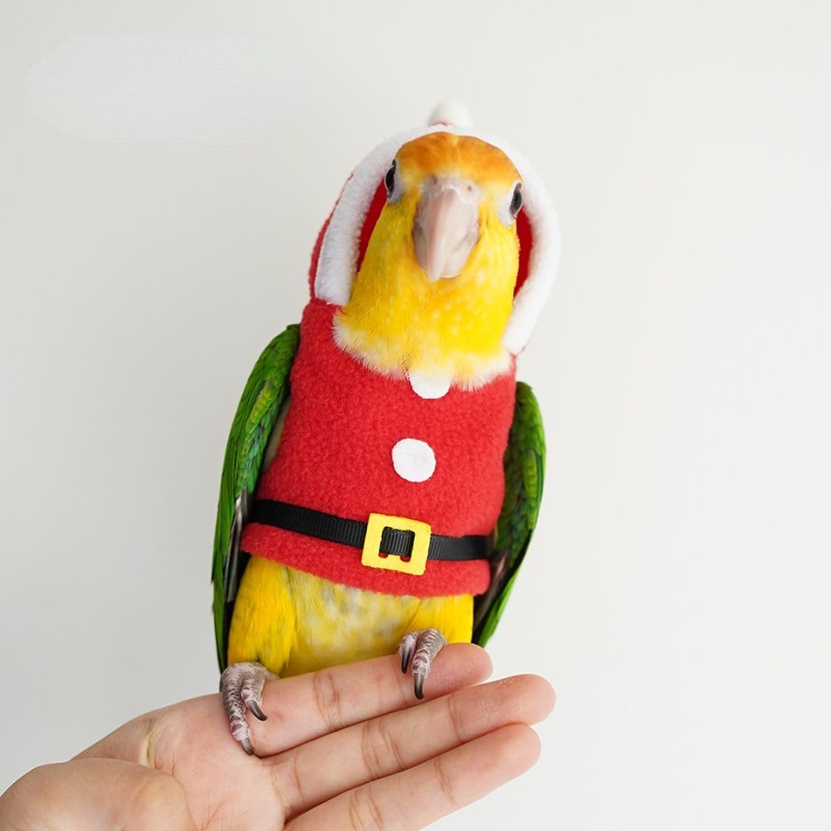 Bird Clothes Birds Flight Suit, Christmas Hoodie for Parrots Cockatiel Sun Conure Christmas Party Cosplay Photo Prop Bird Small Animals (with Diaper,L)