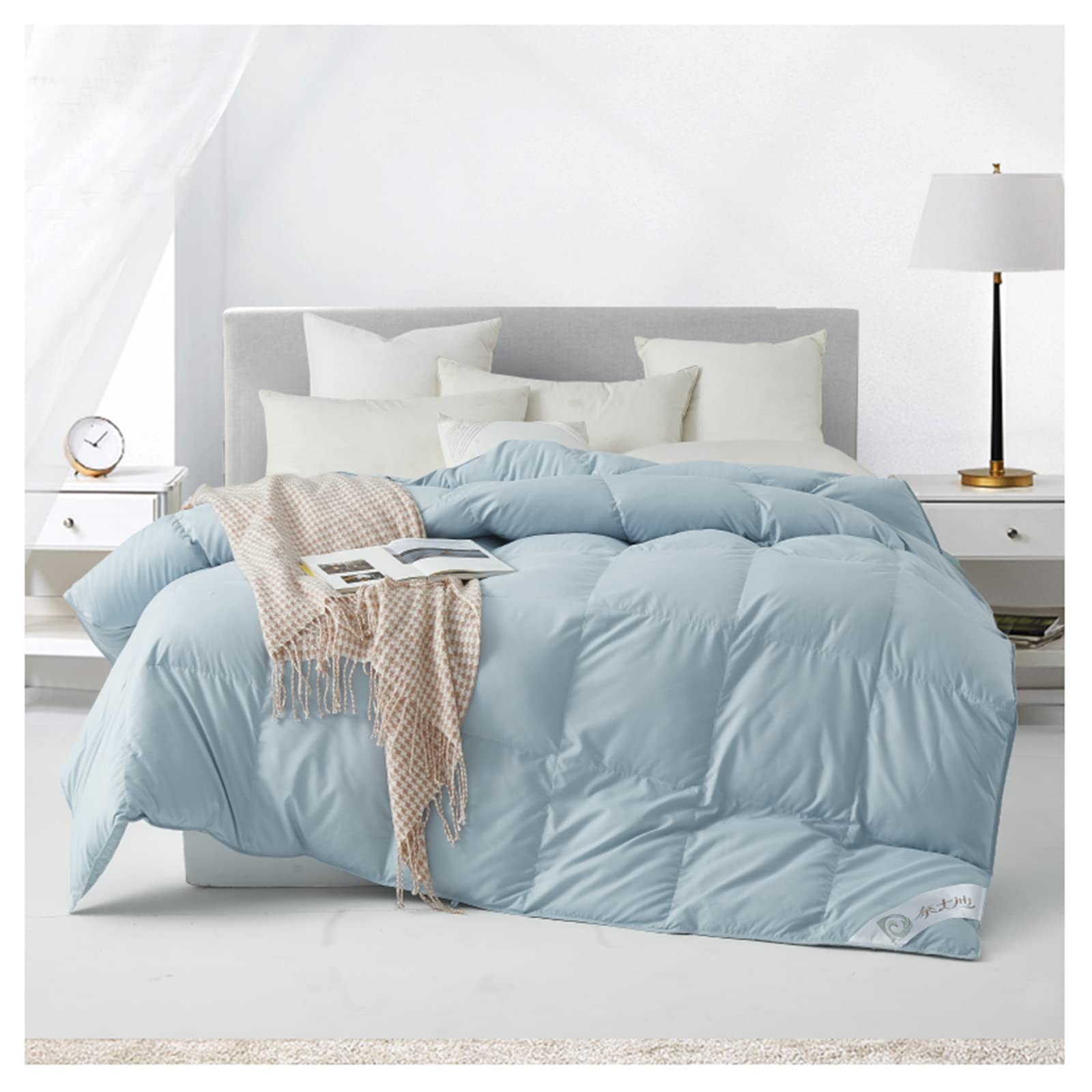 Piumino D'Oca in Cotone Ultra Morbido Full/Queen - Collezione per Hotel per Tutte Le Stagioni Inserto Piumino in Piuma D'Oca (Riso Grigio 2,2 m * 2,4 m 4 kg
