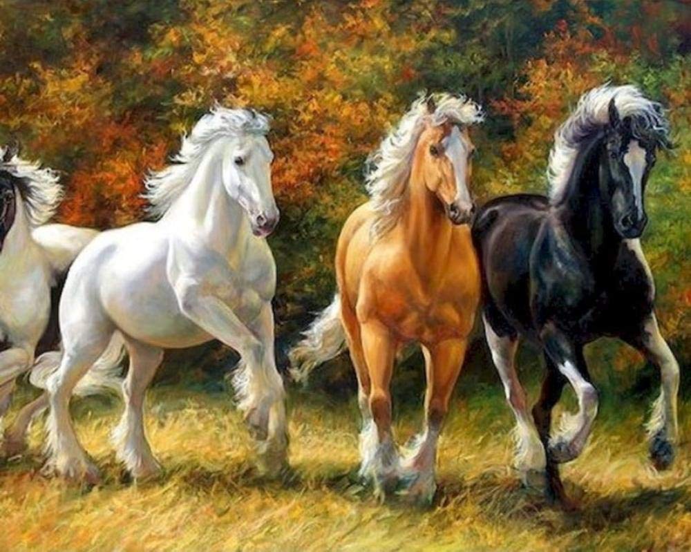 Peinture par numéros cheval pour décorer les murs du salon