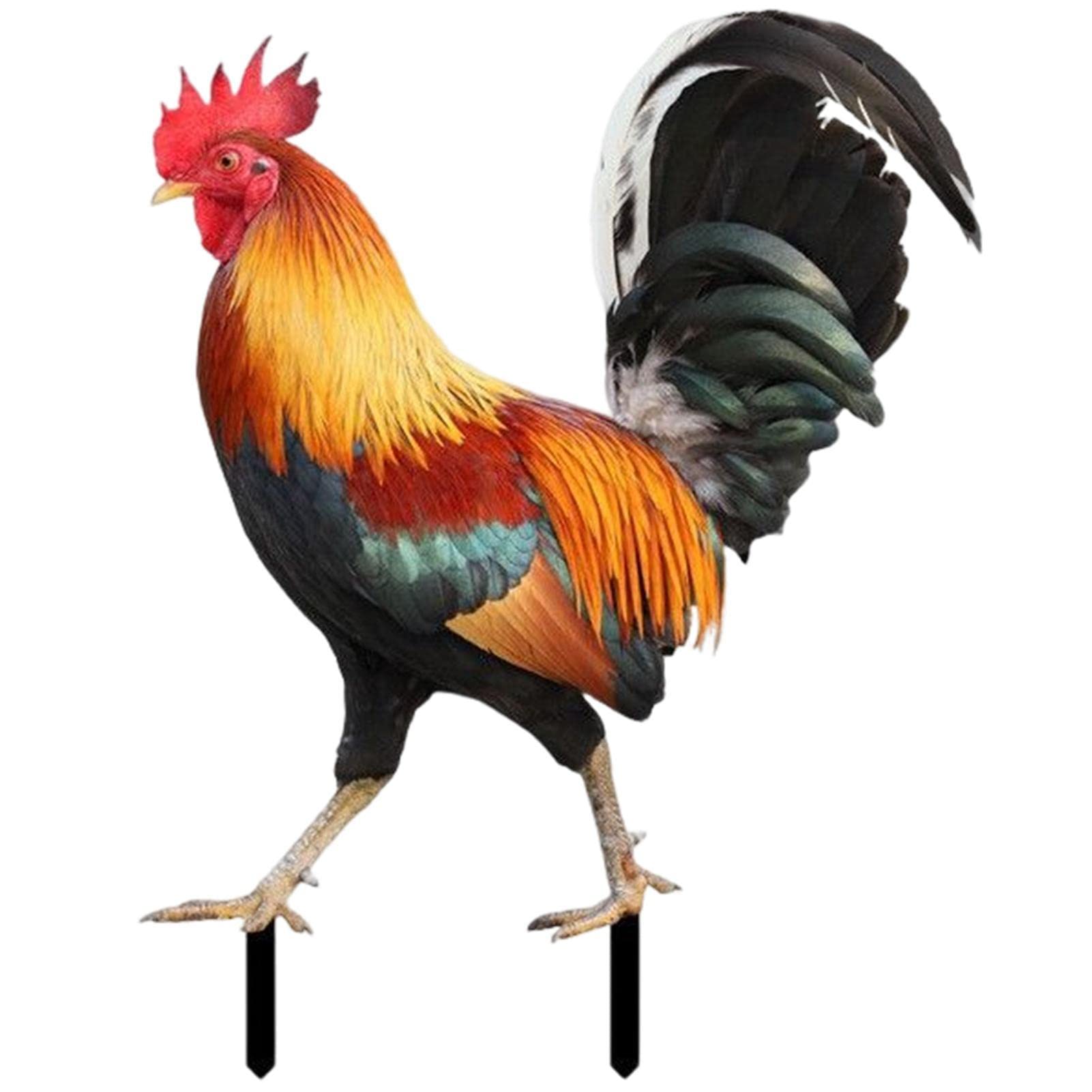 Garden Rooster Statues & Sculpture, Lifelike Chicken Garden Stake, Waterproof Chicken Statue Garden Decorations, Acrylic Statue Animal Garden Ornaments For Outdoor Balcony, Terrace, Patio