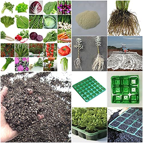 1200 SEMENTES VERDURAS + LEGUMES 30 TIPOS + SEMENTEIRA + SUBSTRATO + BRINDE