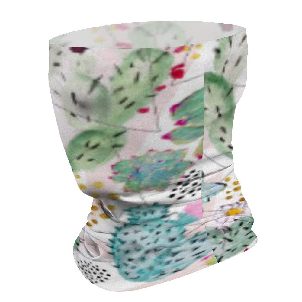 Amazon | SR80FC10 CD-R(Data)700MB 4-48倍速 1枚 | 三菱化学メディア