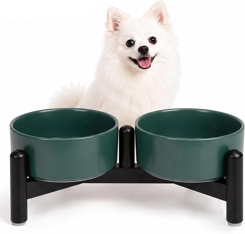Comedouro Elevado de Cerâmica para Cães e Gatos PTOBER com Suporte em Aço Inoxidável, 320 mL