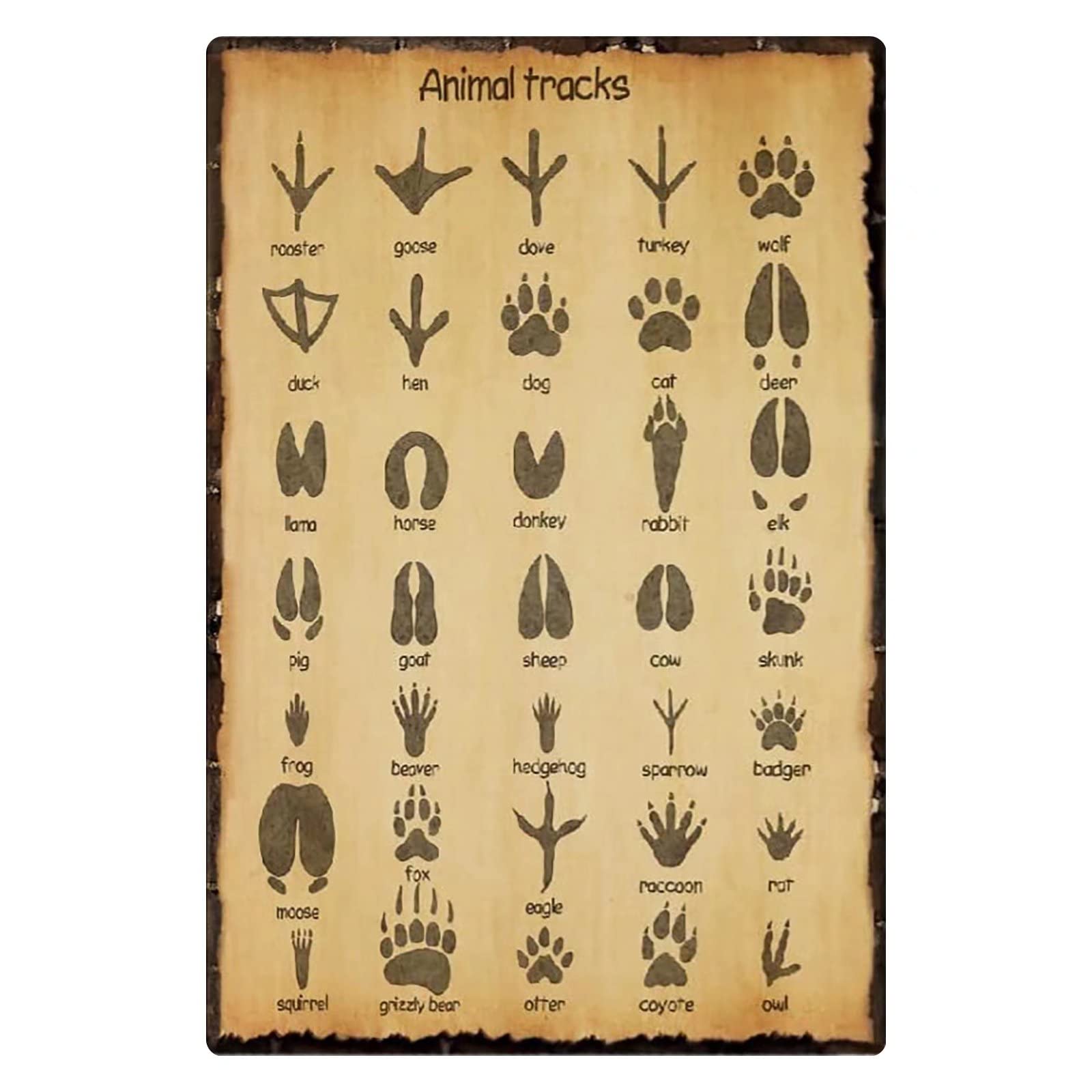 Animal Tracks Metal Tin Signs Retro Animal Science Education Posters Animal Lovers Home Farmhouse Club Bedroom Wall Decor Everyday Life Gain Knowledge Plaque Gift 8x6 Inches