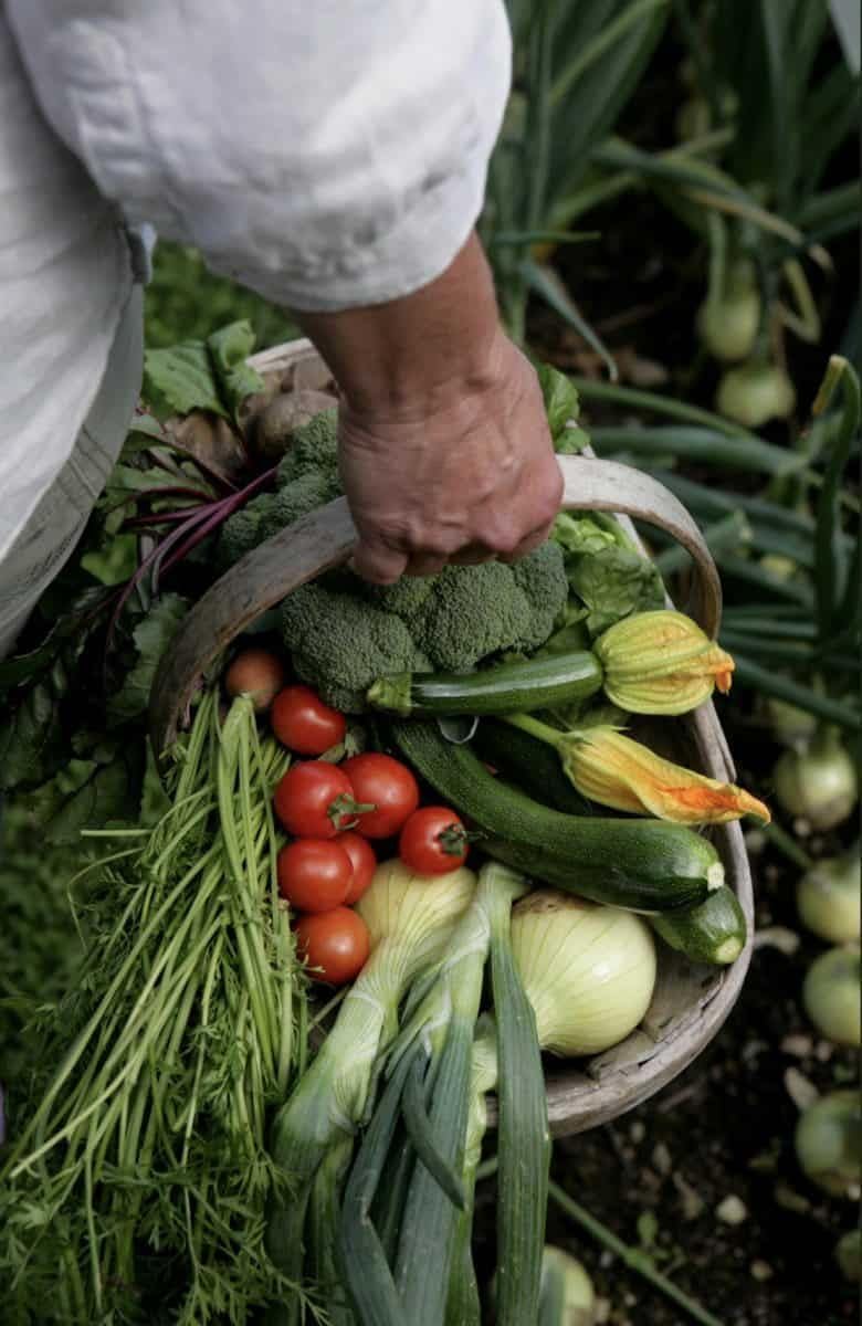 Abono Universal Huerta, Frutales, Césped y Ornamentales de 1,5 Kg | NPK 4-6-12 | Fertilizante Ecológico Completo y Equilibrado | Efecto Prolongado | Aplicación Fácil a Mano | Nexum Market