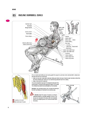 Strength Training Anatomy, 3rd Edition
