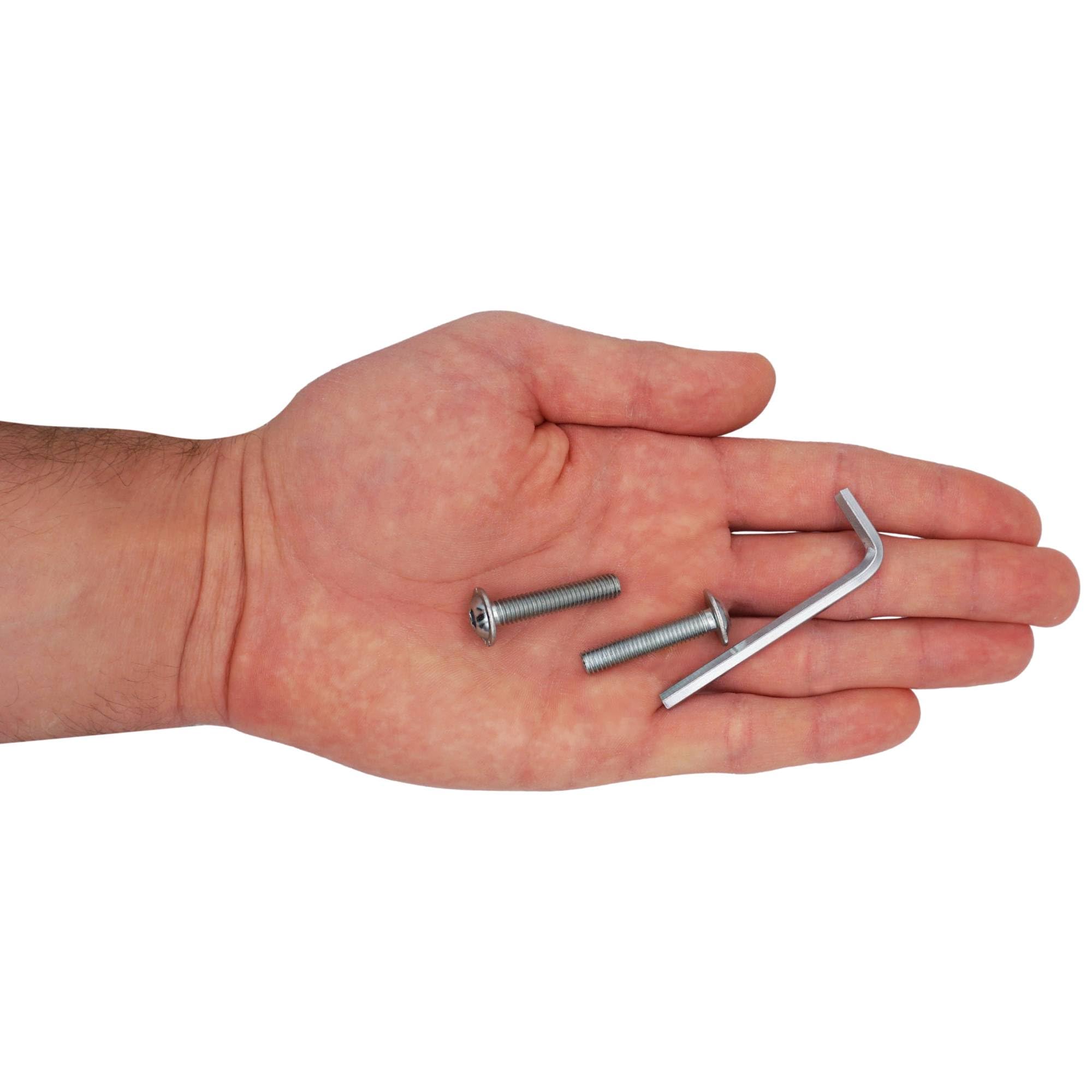 SKIR'CO (20 pezzi) Viti a Testa Bombata con Esagono Incassato M6 x 30 mm con Flangia, Bulloni ISO 7380-2 Zincati, Completamente Filettati