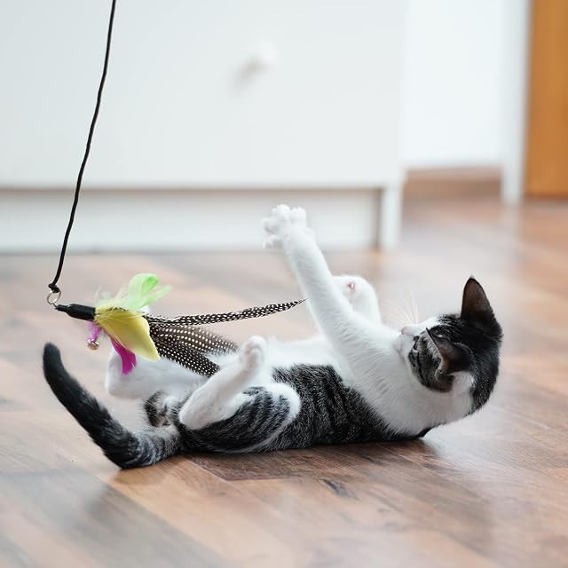 Foto 2 de 8 de SCHLITZOHR Plumas de repuesto para pesca de gato, plumas, clásicas, accesorios interactivos para gatos