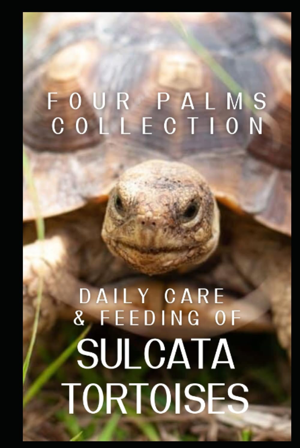 Daily Care and Feeding of Sulcata Tortoises: A Sulcata Tortoise Lover's Guide to Being an Owner, a Superfan or Both