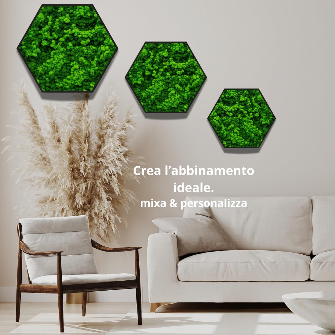 Quadro Esagonale Verde Stabilizzato con Muschio e Licheni Naturali - Decorazione Vegetale di Design per Casa e Ufficio - Senza Manutenzione (Esagonale 40x40 cm., con Cornice)