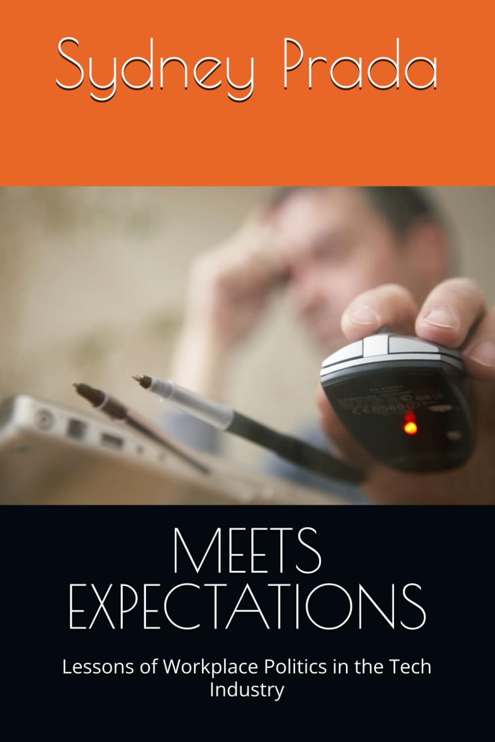 MEETS EXPECTATIONS: Lessons of Workplace Politics in the Tech Industry