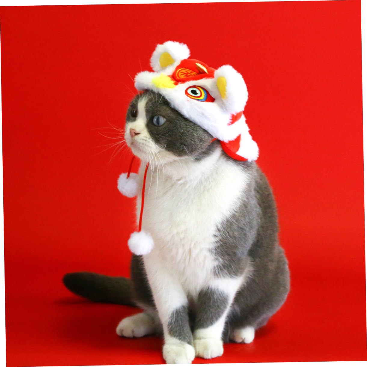 Abaodam Pet Hat for Cats Dogs Festival Costume Accessory for Pet Photography Fits Head Circumference Under Cute Party Cap for Pets