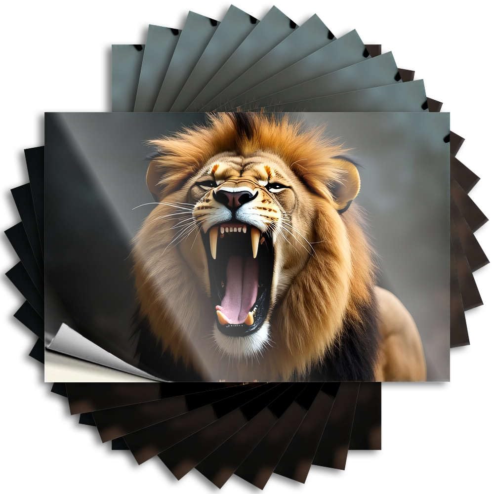 Quote Vintage, Boss Bumper Roaring Lion with Sharp Teeth | Bar Stuff(12X18CM)