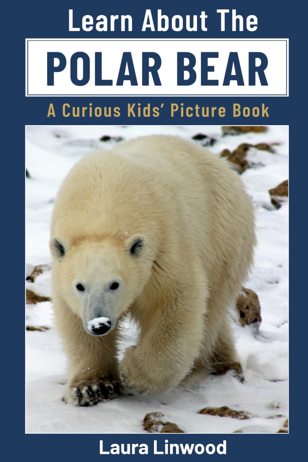 Learn About The Polar Bear: A Curious Kids' Picture Book (Curious Kids Learn About Books)