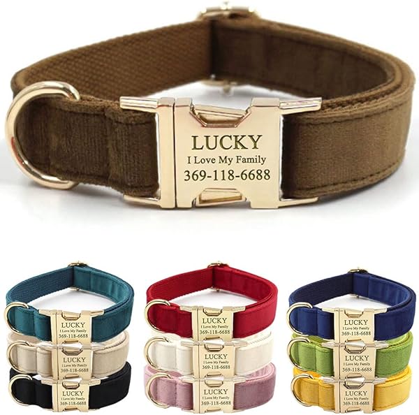 PETDURO Custom Dog Collar: Engraving Errors & Durability Concerns — Is It Worth the Risk?